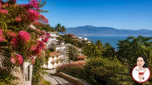 2LF1a4bITv4