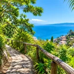 Amapas Nature Breaks for a Clearer Remote Workday