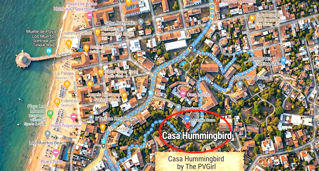 Hummingbird-Map-1023
