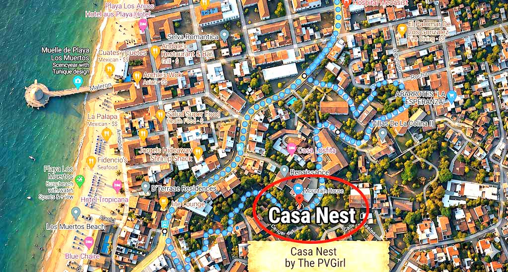 Nest-Map-1023