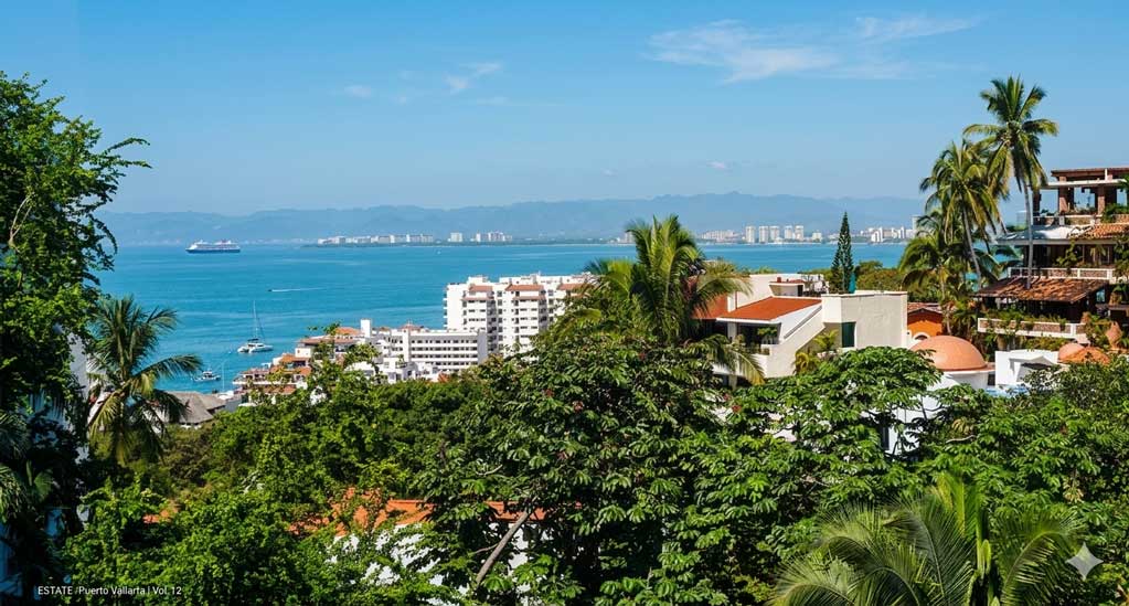 Nest-View2-1024